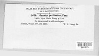 Image Associated With the Occurence